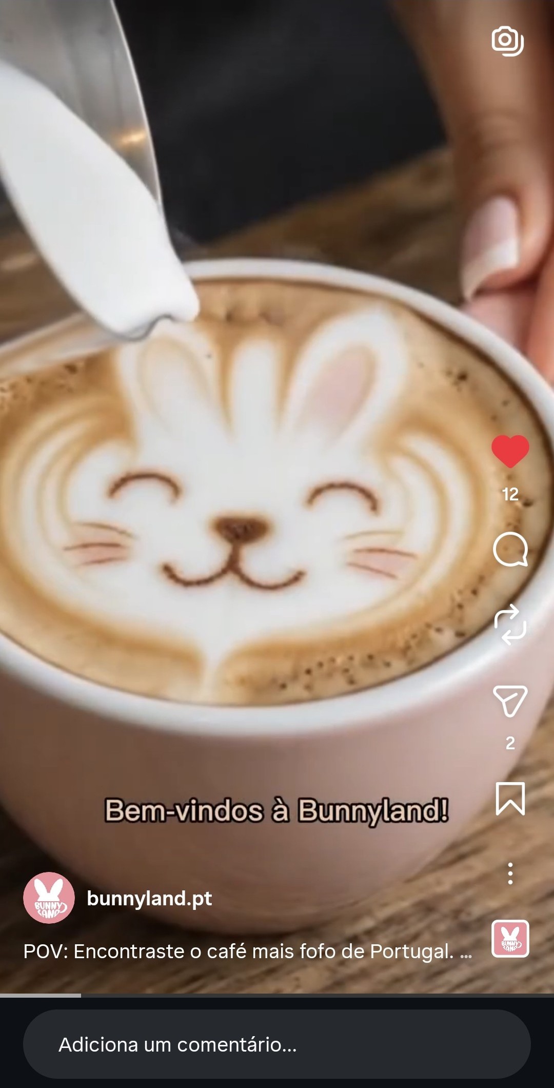 BunnyLand Reel